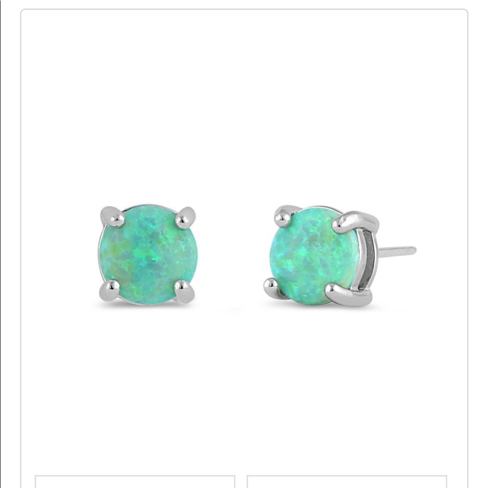925 Sterling Silver Earrings